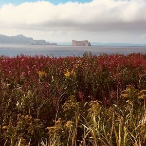 Meet your Posher, Leonie